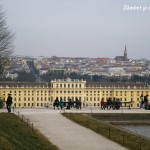 Viena: Palatul Schonbrunn şi Cartierul Muzeelor