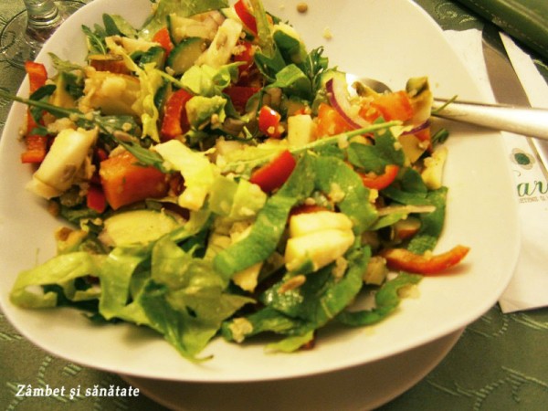 restaurant-raw-vegan-barca-salata