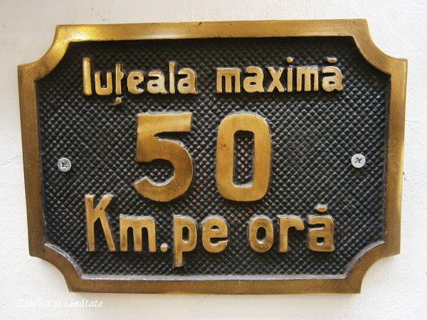 iuteala-maxima-muzeul-CFR
