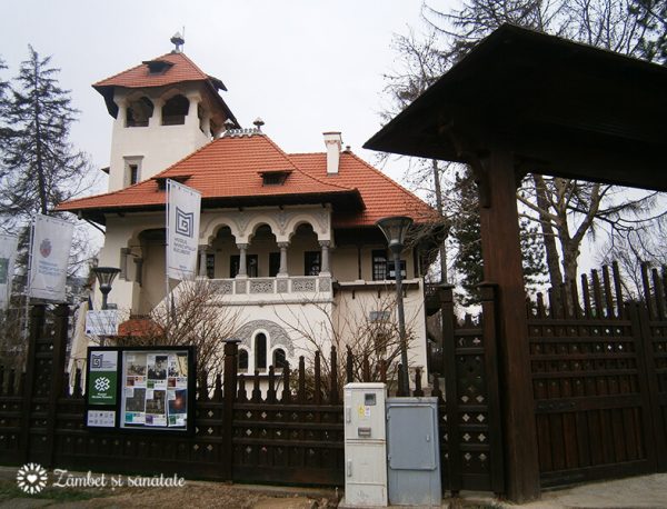 muzeul minovici