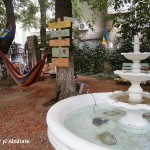 Oază de relaxare în mijlocul capitalei: Grădina de citit de la Biblioteca Metropolitană (foto)