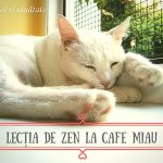 Lecția de zen la Cafe Miau